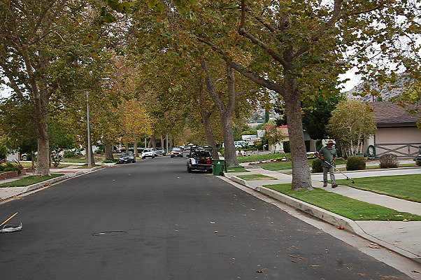 DSC 0163