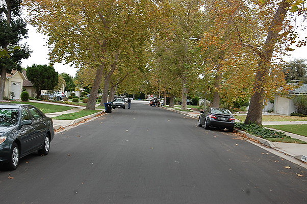 DSC 0155