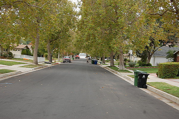 DSC 0184