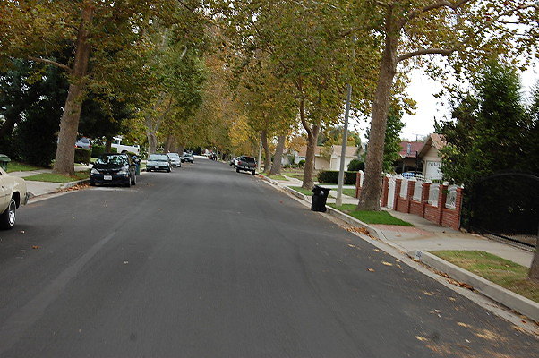 DSC 0152