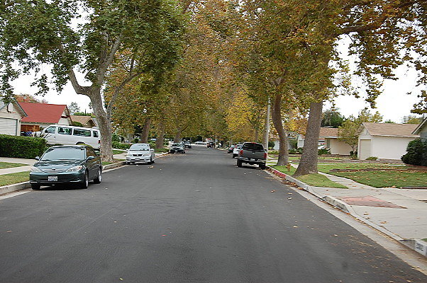 DSC 0153