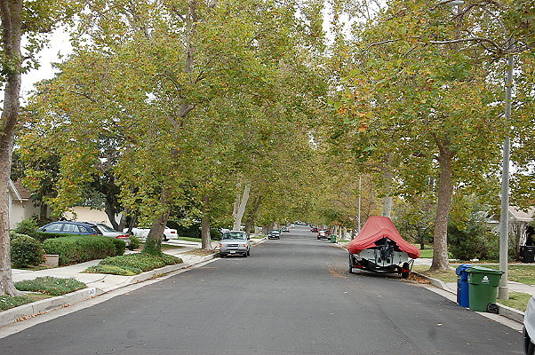 DSC 0133