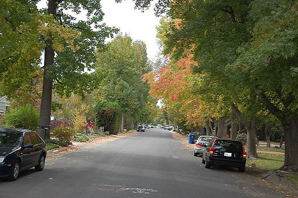 DSC 0039