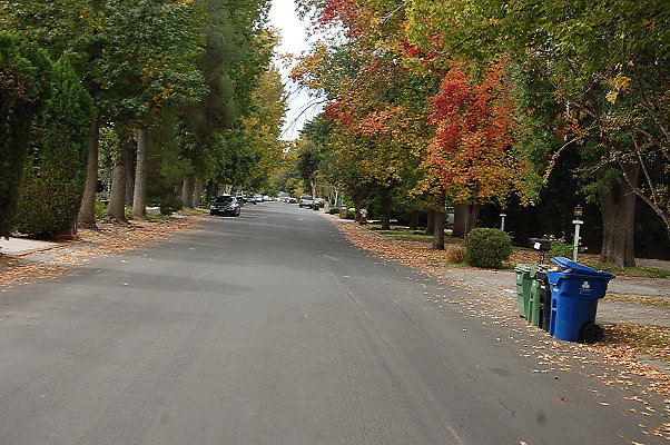 DSC 0040