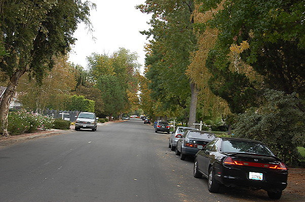 DSC 0006
