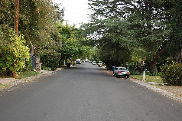 DSC 0018