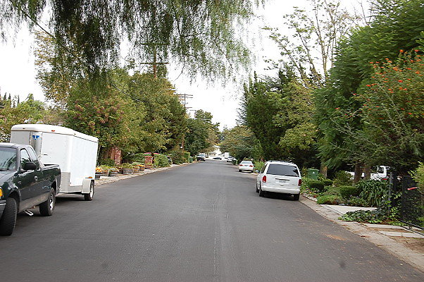 DSC 0021