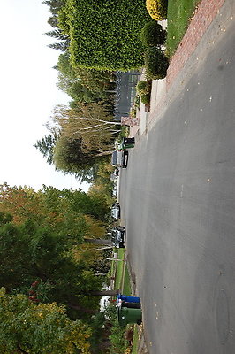 DSC 0042