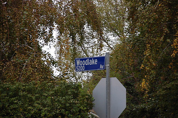 DSC 0005