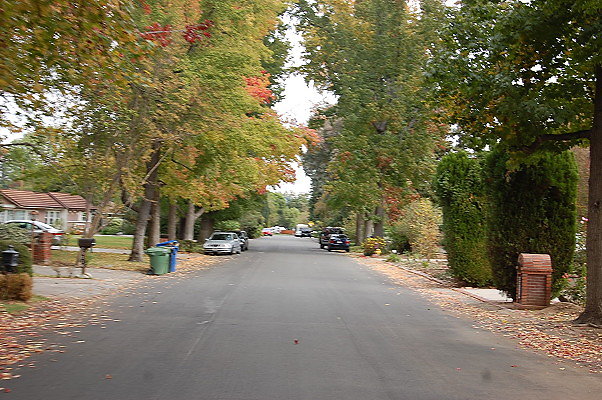 DSC 0010