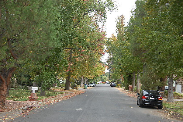 DSC 0009