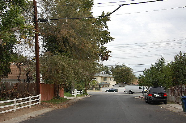 DSC 0024