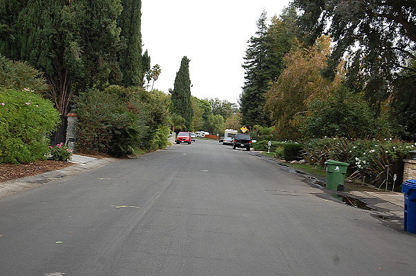 DSC 0012