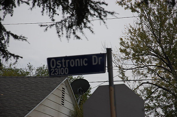 DSC 0004