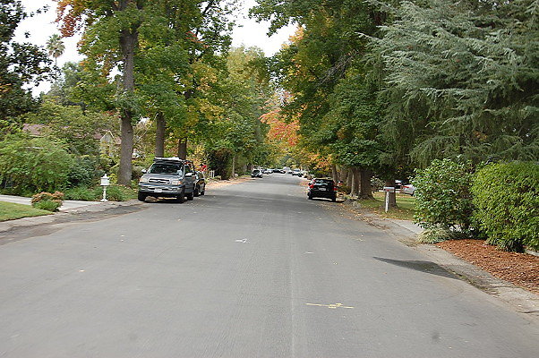 DSC 0038
