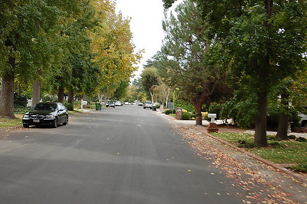 DSC 0041