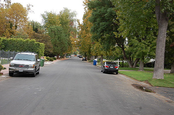 DSC 0007