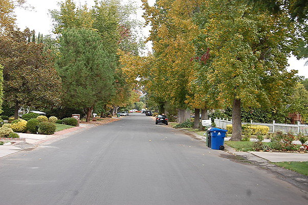 DSC 0008