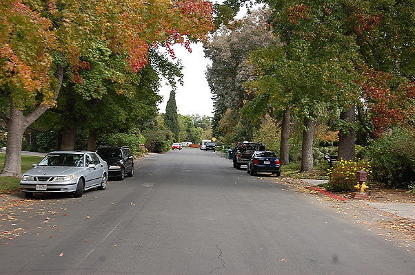 DSC 0011