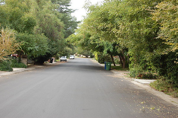 DSC 0030