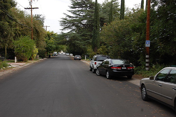 DSC 0017
