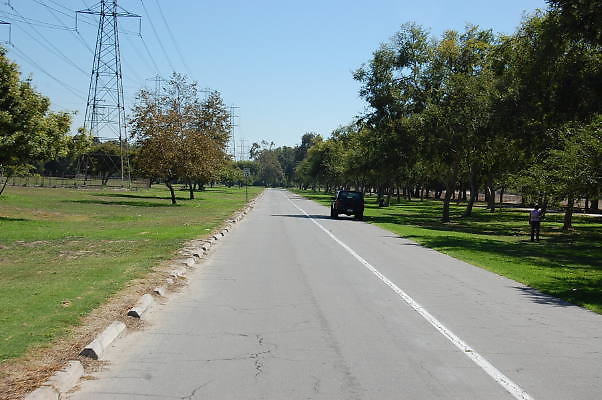 DSC 0077