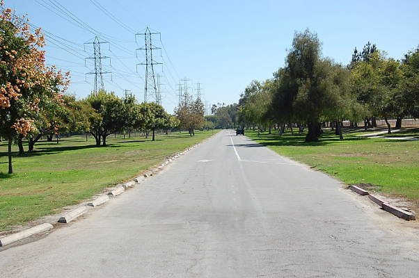 DSC 0076