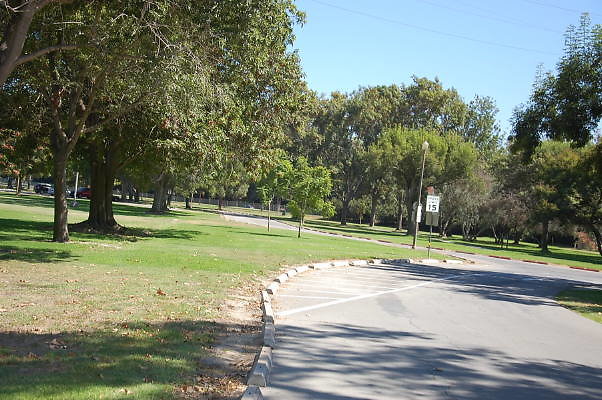 DSC 0082
