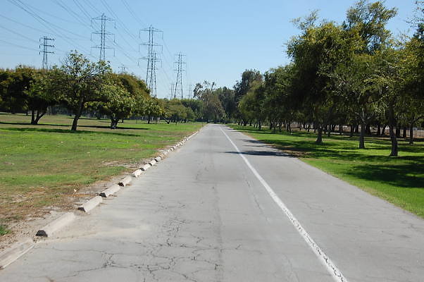 DSC 0078