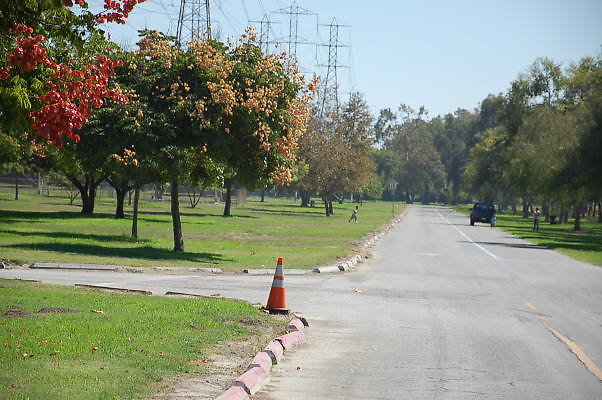 DSC 0075