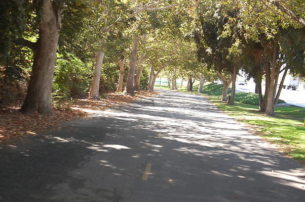 DSC 0094