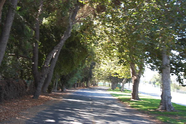 DSC 0092