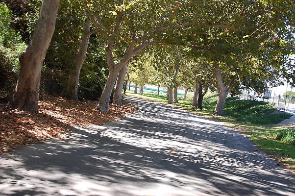 DSC 0095