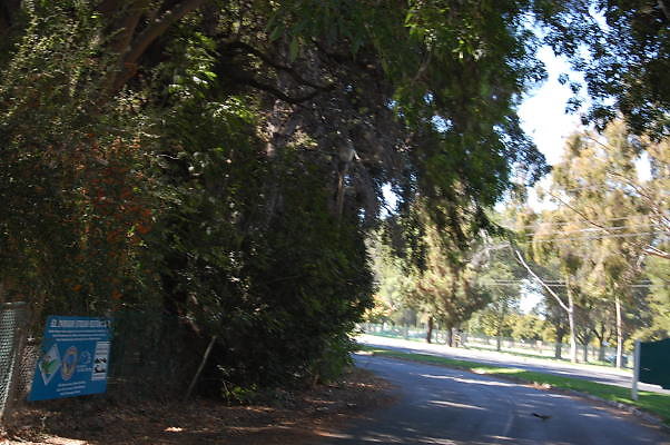 DSC 0091