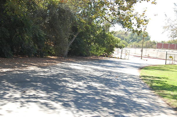 DSC 0098