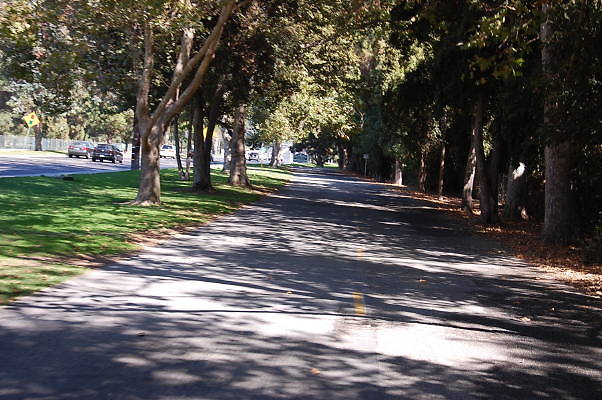 DSC 0087