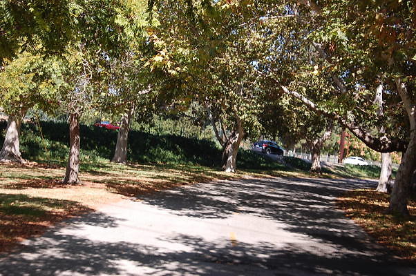 DSC 0085