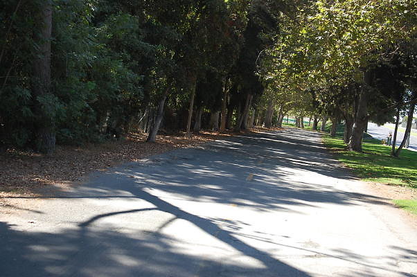 DSC 0093