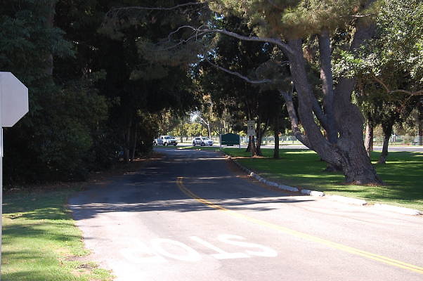 DSC 0090