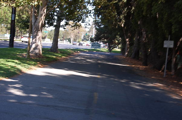 DSC 0088