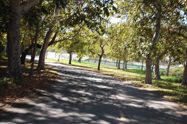 DSC 0096