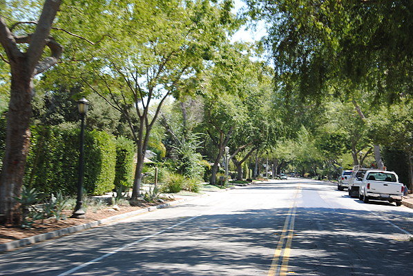 DSC 0384