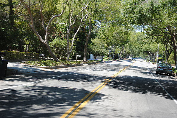 DSC 0333