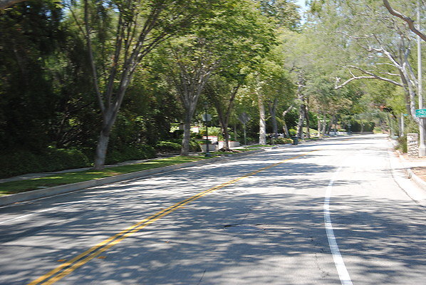 DSC 0325