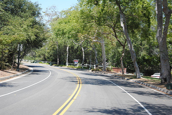 DSC 0358