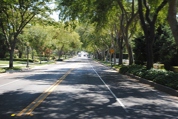 DSC 0374