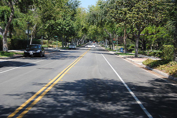 DSC 0348