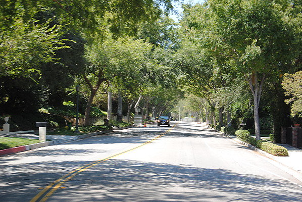 DSC 0320