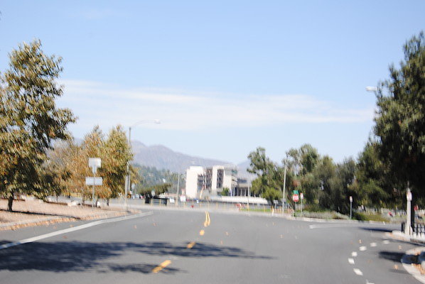DSC 0253