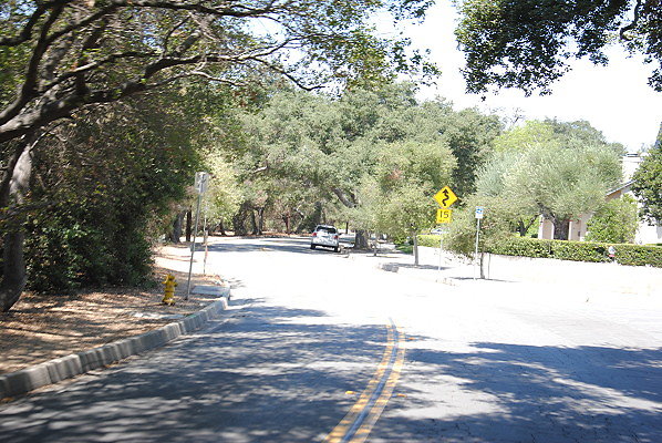 DSC 0219
